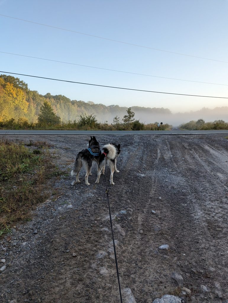 When Whoa Matters: Road Crossings!